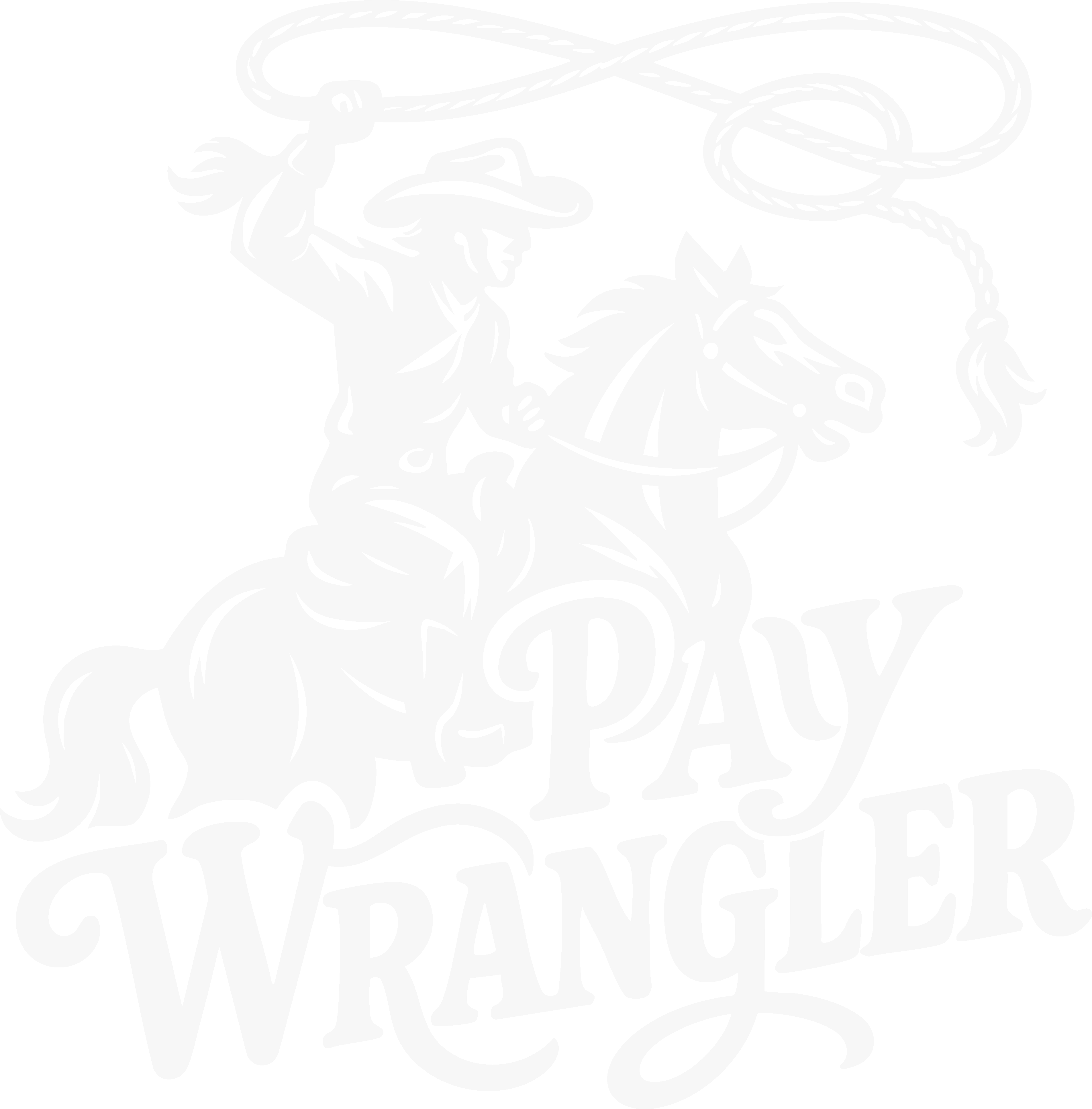 Pay Wrangler dashboard preview